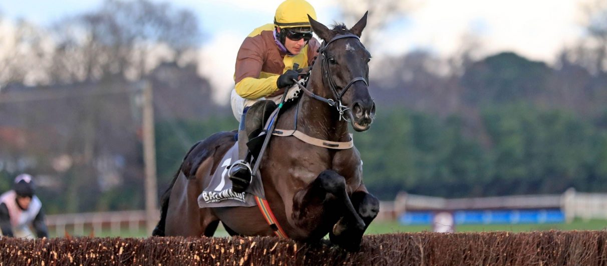 cheltenham trends