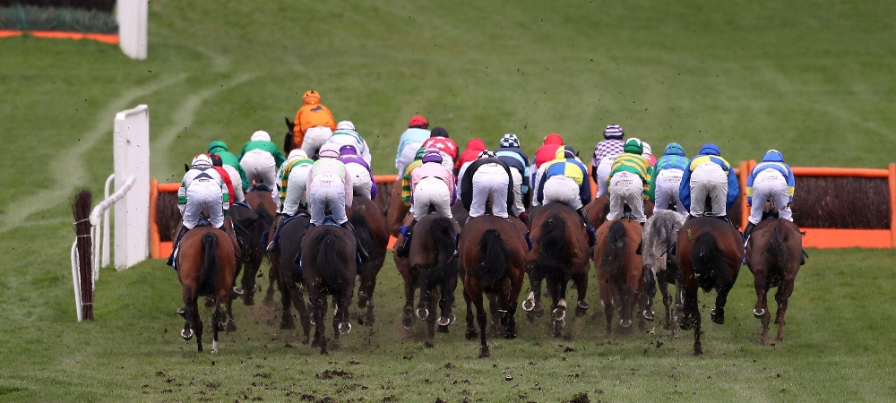 cheltenham handicap hurdles