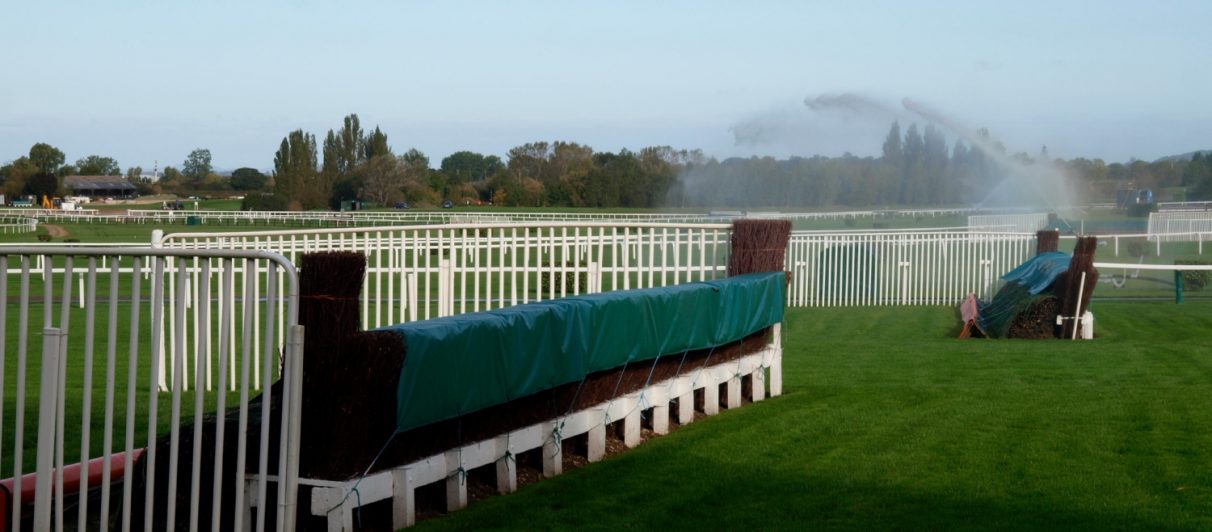 cheltenham trends